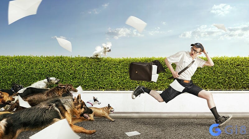 Mơ thấy nhiều chó đuổi cùng lúc cho thấy bạn đang gặp phải nhiều vấn đề Mơ thấy nhiều chó đuổi cùng lúc cho thấy bạn đang gặp phải nhiều vấn đề