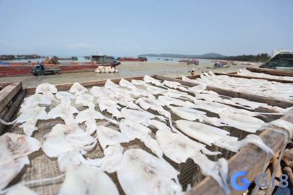 Mơ thấy mình đang phơi mực khô biểu thị rằng bạn đang có sự kiên trì để đạt mục tiêu Mơ thấy mình đang phơi mực khô biểu thị rằng bạn đang có sự kiên trì để đạt mục tiêu