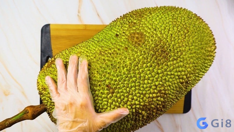 Không may bạn không mơ thấy mít chín mà là mít xanh thì điềm báo này không mấy may mắn Không may bạn không mơ thấy mít chín mà là mít xanh thì điềm báo này không mấy may mắn