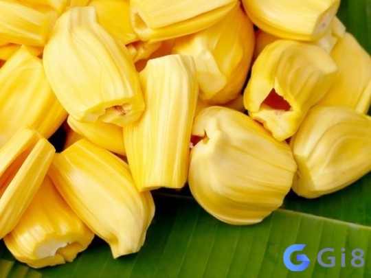 Hình ảnh quả mít chín với nhiều múi được coi là điềm báo thịnh vượng, mơ thấy mít chín là điềm tốt Hình ảnh quả mít chín với nhiều múi được coi là điềm báo thịnh vượng, mơ thấy mít chín là điềm tốt