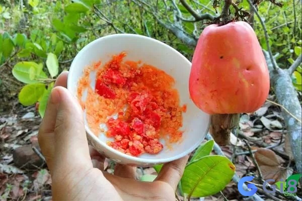 Mơ thấy người khác ăn trái điều chín phản ánh cảm giác ghen tỵ hoặc lo sợ rằng người khác sẽ vượt lên Mơ thấy người khác ăn trái điều chín phản ánh cảm giác ghen tỵ hoặc lo sợ rằng người khác sẽ vượt lên