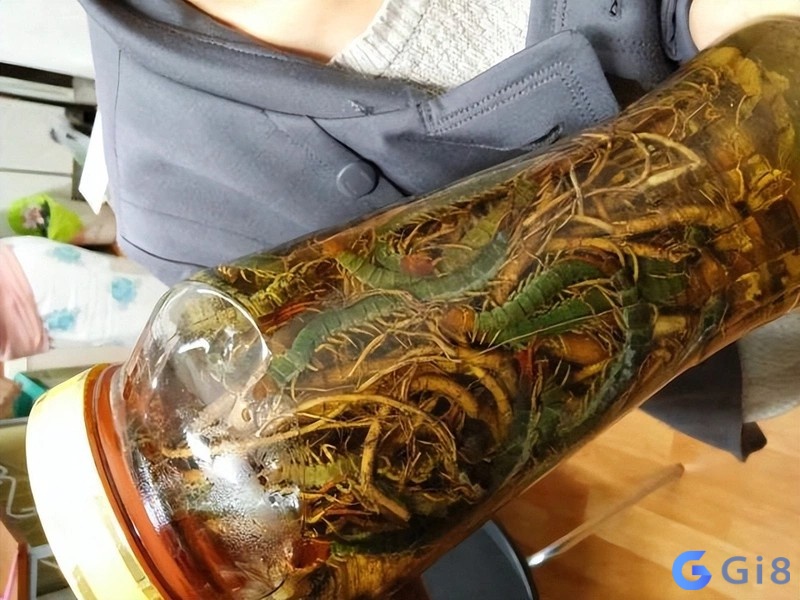Ghi nhớ điềm báo để chuẩn bị cho tương lai sau này Ghi nhớ điềm báo để chuẩn bị cho tương lai sau này