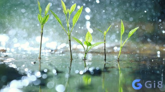 Thông qua việc giải mã gia chủ sẽ có được con số may mắn Thông qua việc giải mã gia chủ sẽ có được con số may mắn