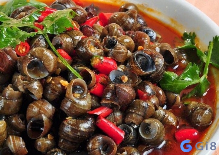 Nằm mơ thấy ốc đánh con gì trúng cần được phân tích kĩ lưỡng Nằm mơ thấy ốc đánh con gì trúng cần được phân tích kĩ lưỡng