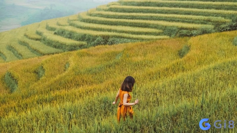 Mơ thấy đi du lịch một mình thường cho thấy bạn là một người độc lập Mơ thấy đi du lịch một mình thường cho thấy bạn là một người độc lập