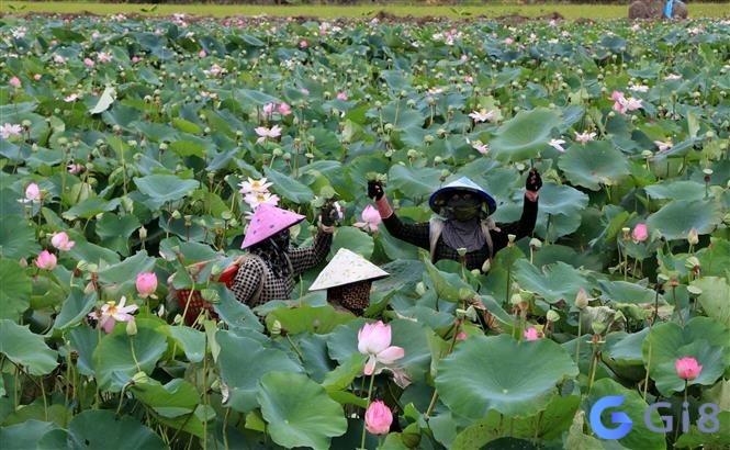 Ghi nhớ điềm báo để biết bản thân nên làm gì Ghi nhớ điềm báo để biết bản thân nên làm gì