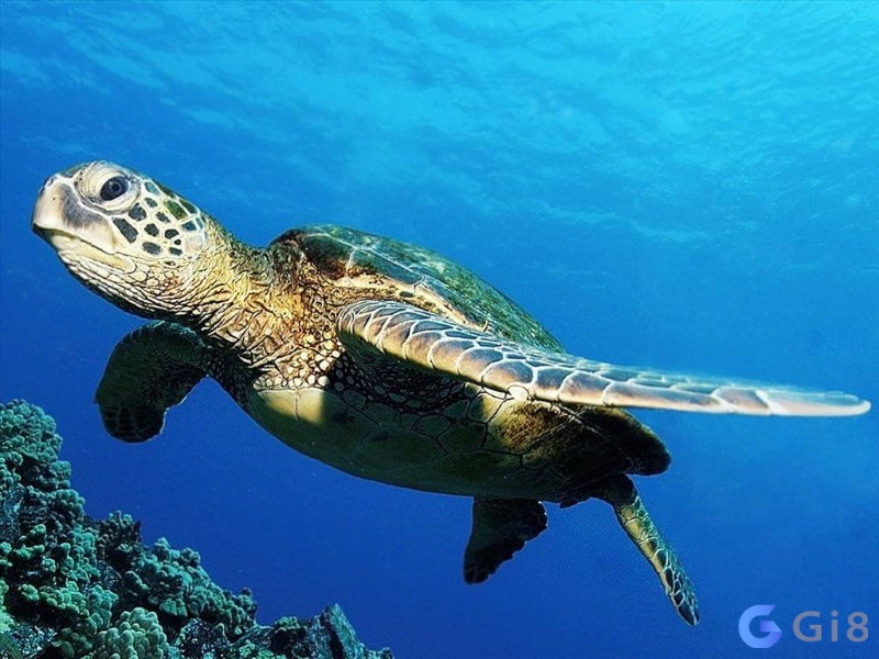 Ghi nhớ dự báo để biết được sự thay đổi sắp tới Ghi nhớ dự báo để biết được sự thay đổi sắp tới