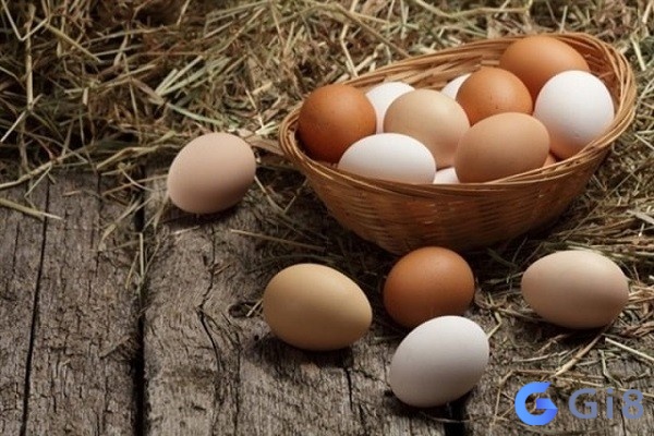 Bạn sẽ có cơ hội hốt bạc khi mơ thấy trứng Bạn sẽ có cơ hội hốt bạc khi mơ thấy trứng
