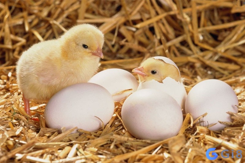 Nắm rõ điềm báo để chuẩn bị cho sự thay đổi Nắm rõ điềm báo để chuẩn bị cho sự thay đổi