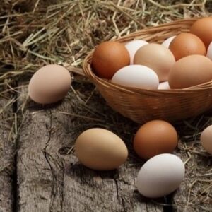 Giải mã giấc mơ thấy trứng và những con số đề may mắn