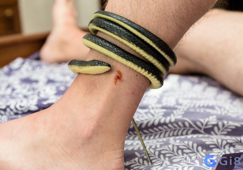 Chiêm bao rắn quấn chân mình thì đánh liền: 96, 69 Chiêm bao rắn quấn chân mình thì đánh liền: 96, 69