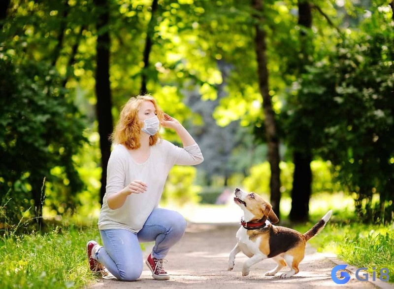 Mơ thấy nuôi chó là dấu hiệu của một mối quan hệ tốt đẹp sắp tới với bạn Mơ thấy nuôi chó là dấu hiệu của một mối quan hệ tốt đẹp sắp tới với bạn