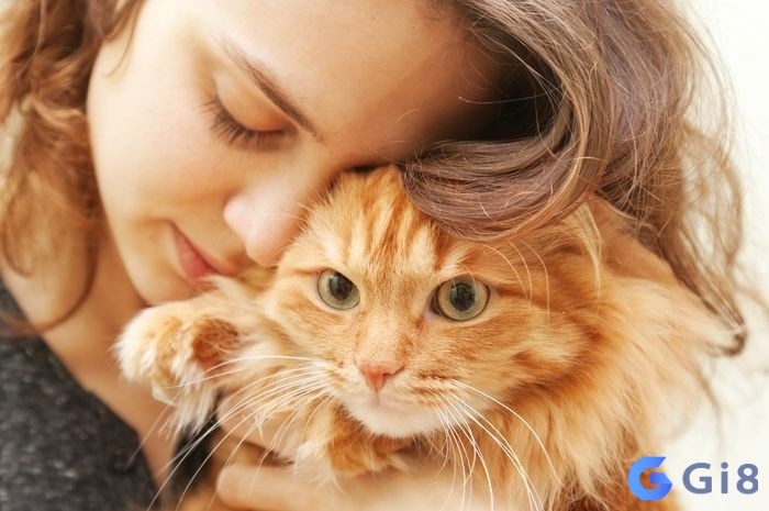 Mơ thấy mình nuôi mèo báo hiệu rằng bạn đang trong quá trình xây dựng cuộc sống theo cách riêng Mơ thấy mình nuôi mèo báo hiệu rằng bạn đang trong quá trình xây dựng cuộc sống theo cách riêng
