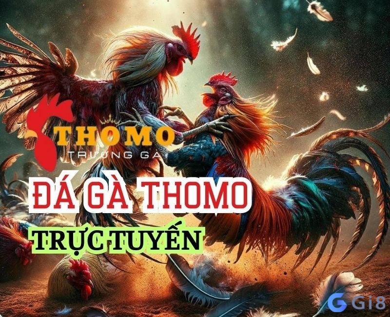 Sân chơi chuyên nghiệp an toàn cho anh em đặt cược Sân chơi chuyên nghiệp an toàn cho anh em đặt cược